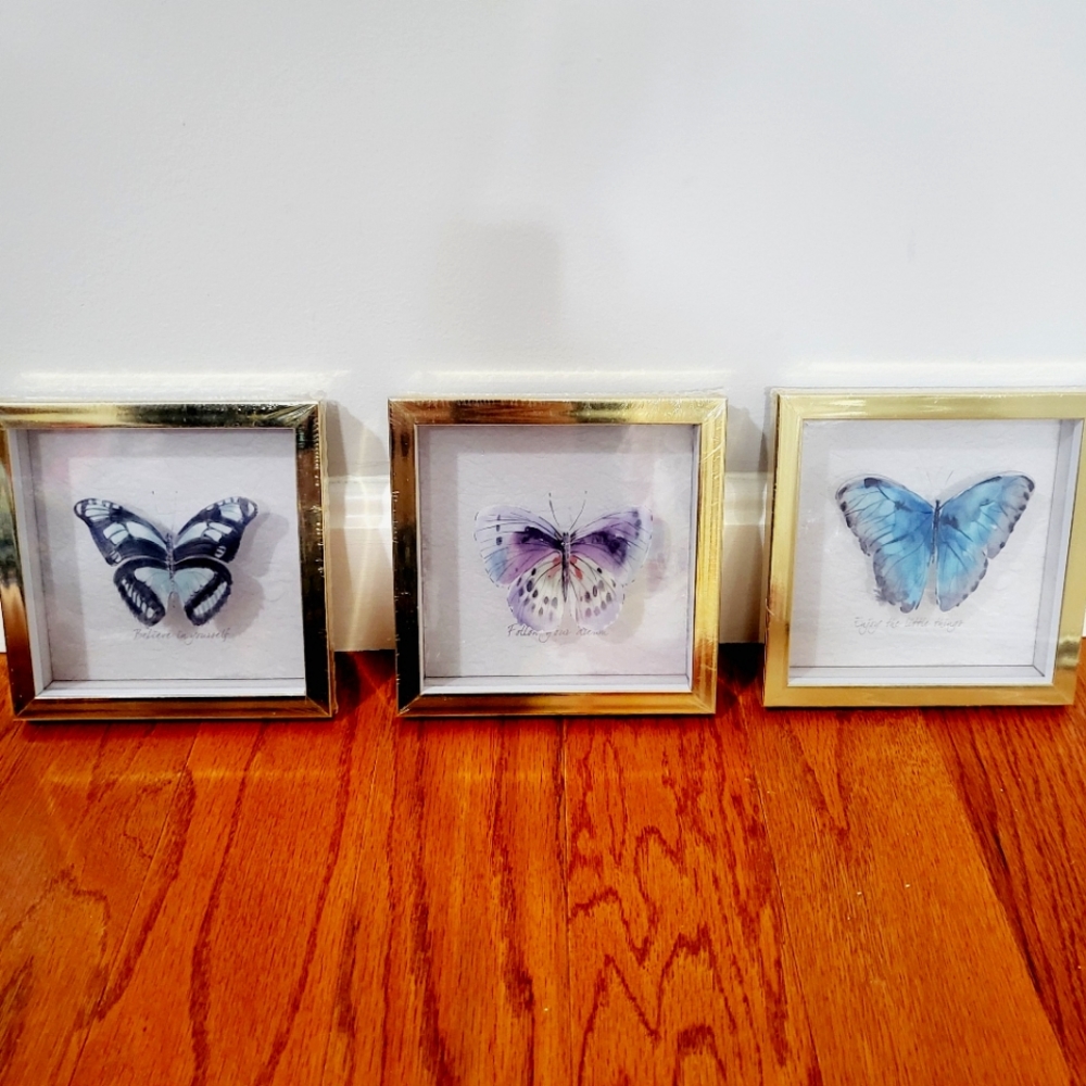 Butterfly pictures grouping